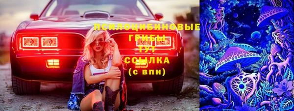 дживик Вяземский